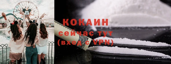 дживик Елабуга
