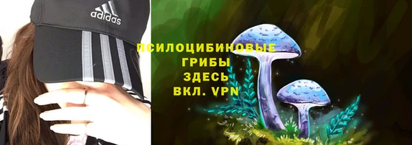 хмурый Елизово