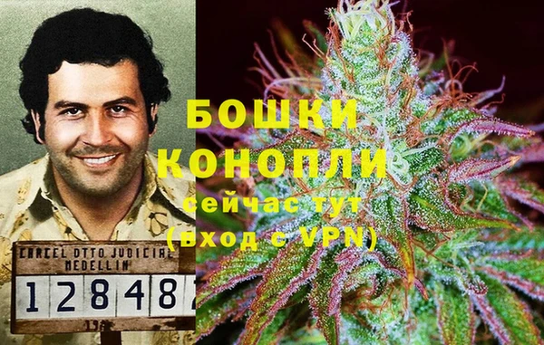 дживик Елабуга