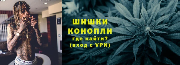 прущая мука Ельня