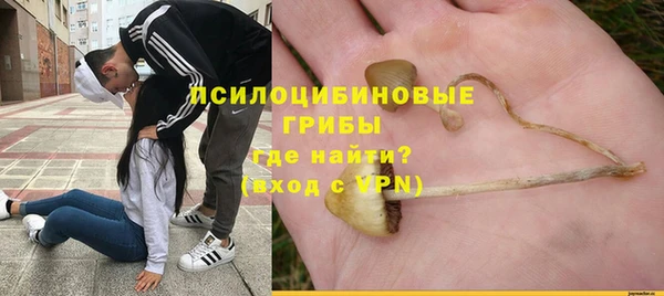 хмурый Елизово