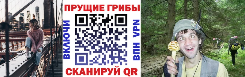 blacksprut вход  Себеж  Псилоцибиновые грибы GOLDEN TEACHER 